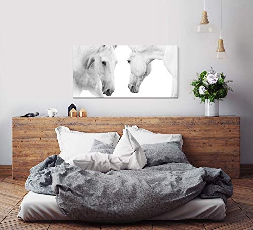 Paul Sinus Art Weiße Pferde 120x 60cm Panorama Leinwand Bild XXL Format Wandbilder Wohnzimmer Wohnung Deko Kunstdrucke