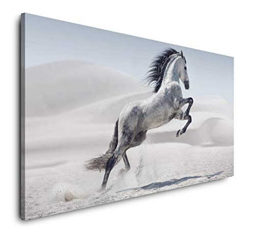 Paul Sinus Art Weißes Pferd 120x 60cm Panorama Leinwand Bild XXL Format Wandbilder Wohnzimmer Wohnung Deko Kunstdrucke