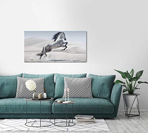 Paul Sinus Art Weißes Pferd 120x 60cm Panorama Leinwand Bild XXL Format Wandbilder Wohnzimmer Wohnung Deko Kunstdrucke