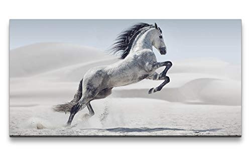 Paul Sinus Art Weißes Pferd 120x 60cm Panorama Leinwand Bild XXL Format Wandbilder Wohnzimmer Wohnung Deko Kunstdrucke