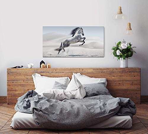 Paul Sinus Art Weißes Pferd 120x 60cm Panorama Leinwand Bild XXL Format Wandbilder Wohnzimmer Wohnung Deko Kunstdrucke