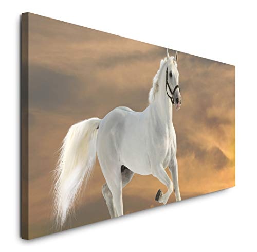 Paul Sinus Art GmbH Weißes Pferd 120x 50cm Panorama Leinwand Bild XXL Format Wandbilder Wohnzimmer Wohnung Deko Kunstdrucke