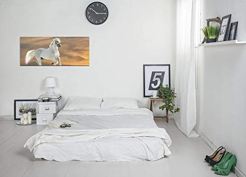 Paul Sinus Art GmbH Weißes Pferd 120x 50cm Panorama Leinwand Bild XXL Format Wandbilder Wohnzimmer Wohnung Deko Kunstdrucke