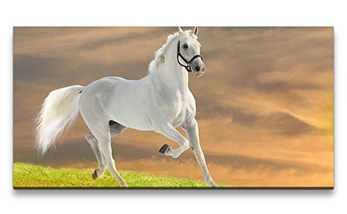 Paul Sinus Art Weißes Pferd 120x 60cm Panorama...