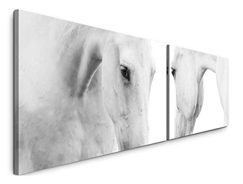 Paul Sinus Art Weiße Pferde 180x50cm - 2 Wandbilder je 50x90cm - Kunstdrucke - Wandbild - Leinwandbilder fertig auf Rahmen