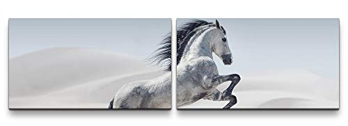 Paul Sinus Art Weißes Pferd 180x50cm - 2 Wandbilder je 50x90cm - Kunstdrucke - Wandbild - Leinwandbilder fertig auf Rahmen