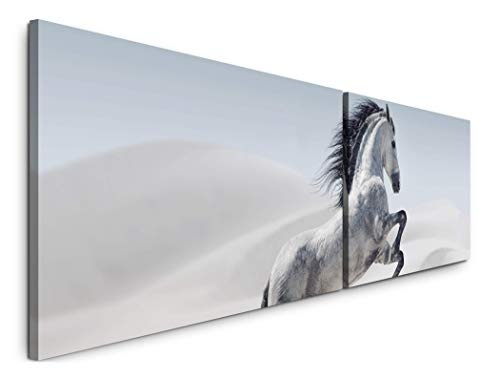 Paul Sinus Art Weißes Pferd 180x50cm - 2 Wandbilder je 50x90cm - Kunstdrucke - Wandbild - Leinwandbilder fertig auf Rahmen