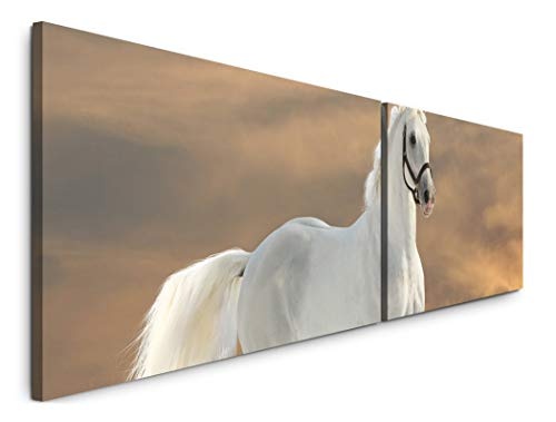 Paul Sinus Art Weißes Pferd 180x50cm - 2 Wandbilder je 50x90cm - Kunstdrucke - Wandbild - Leinwandbilder fertig auf Rahmen