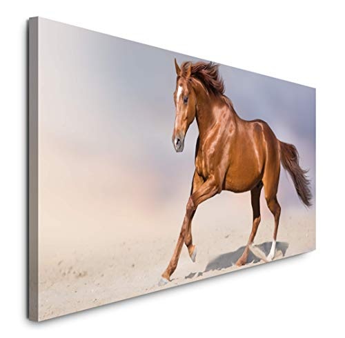 Paul Sinus Art GmbH Pferd in Einer Wüste 120x 50cm Panorama Leinwand Bild XXL Format Wandbilder Wohnzimmer Wohnung Deko Kunstdrucke