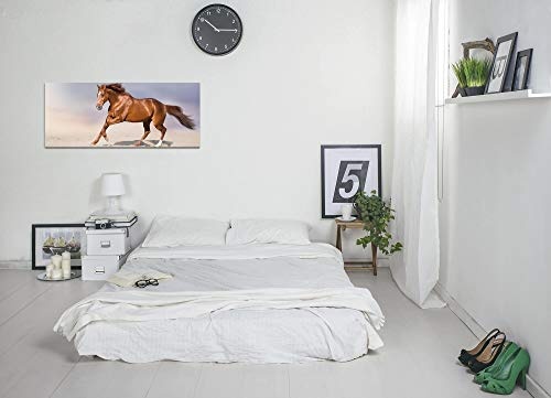 Paul Sinus Art GmbH Pferd in Einer Wüste 120x 50cm Panorama Leinwand Bild XXL Format Wandbilder Wohnzimmer Wohnung Deko Kunstdrucke