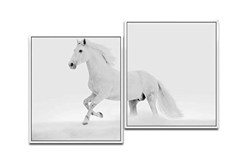 Paul Sinus Art Weißes Pferd 130 x 90 cm (2 Bilder ca. 75x65cm) Leinwandbilder fertig im Schattenfugenrahmen Weiss Kunstdruck XXL modern
