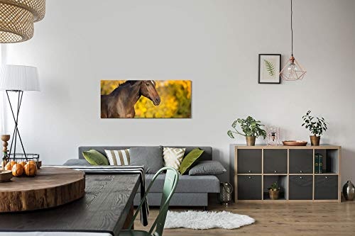 Paul Sinus Art GmbH Pferd im Herbst 120x 50cm Panorama Leinwand Bild XXL Format Wandbilder Wohnzimmer Wohnung Deko Kunstdrucke