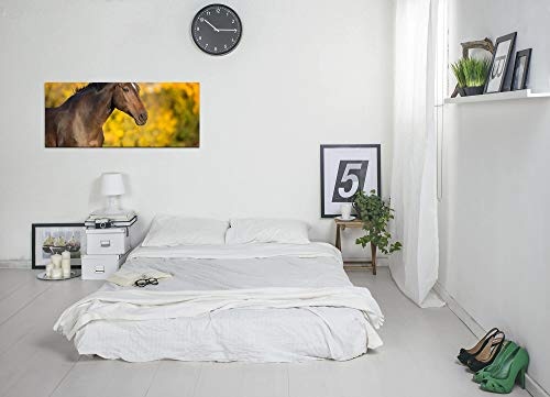 Paul Sinus Art GmbH Pferd im Herbst 120x 50cm Panorama Leinwand Bild XXL Format Wandbilder Wohnzimmer Wohnung Deko Kunstdrucke