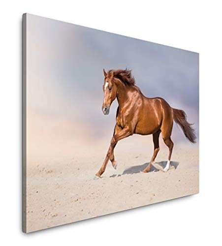 Pferd in Einer Wüste 60 x 90 cm Inspirierende Fotokunst in Museums-Qualität für Ihr Zuhause als Wandbild auf Leinwand in