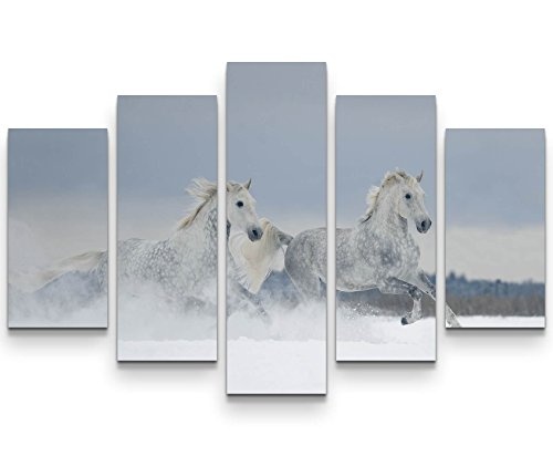 Paul Sinus Art Leinwandbilder | Bilder Leinwand 160x100cm Schimmel im Schnee