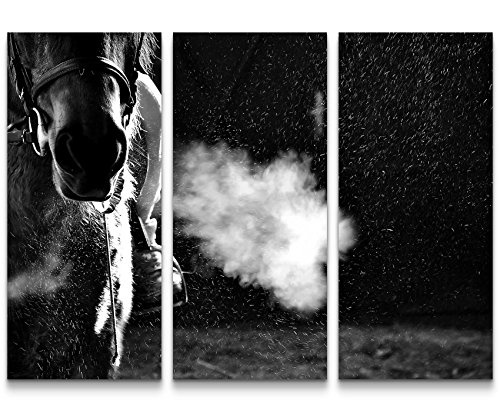 Paul Sinus Art Leinwandbilder | Bilder Leinwand 130x90cm Pferderennen