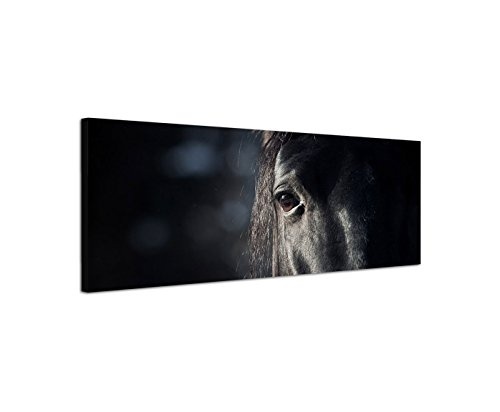 Bilder Wand Bild - Kunstdruck 120x40cm Pferd Kopf Auge Dunkelheit