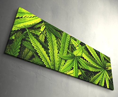 Paul Sinus Art Leinwandbilder | Bilder Leinwand 120x40cm Cannabis im Vintage Style