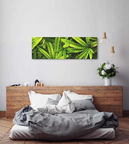 Paul Sinus Art Leinwandbilder | Bilder Leinwand 120x40cm Cannabis im Vintage Style