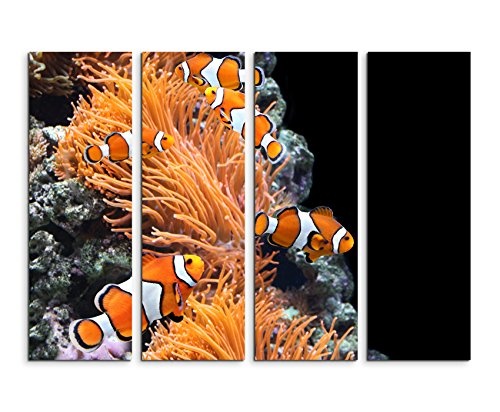 Fotoleinwand 4Teile je 90x30cm Tierfotografie - Korallen und Clownfische