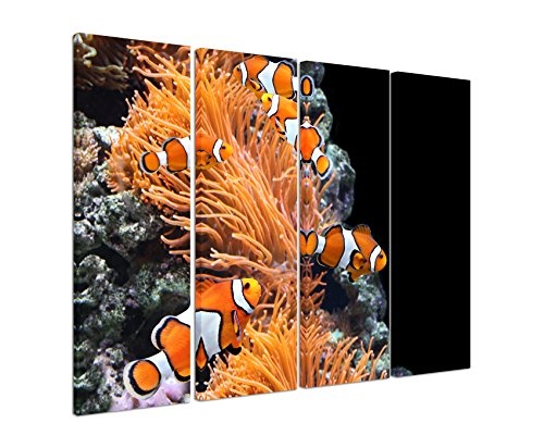 Fotoleinwand 4Teile je 90x30cm Tierfotografie - Korallen und Clownfische