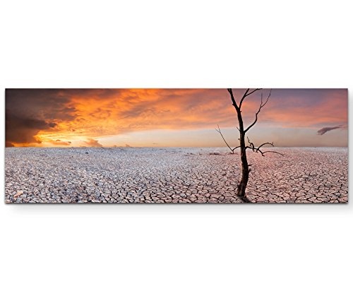 Paul Sinus Art Leinwandbilder | Bilder Leinwand 150x50cm vertrockneter Baum auf trockener Erde