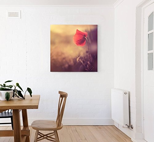 Paul Sinus Art Leinwandbilder | Bilder Leinwand 60x60cm Mohnblume im Sonnenlicht
