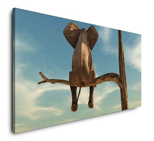 Paul Sinus Art Elefant auf Einem Baum 120x 60cm Panorama Leinwand Bild XXL Format Wandbilder Wohnzimmer Wohnung Deko Kunstdrucke