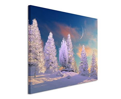 Paul Sinus Art Kunstfoto auf Leinwand 60x40cm Landschaftsfotografie - Baumgruppe im Schnee mit Mond auf Leinwand Exklusives Wandbild Moderne Fotografie für Ihre Wand in Vielen Größen