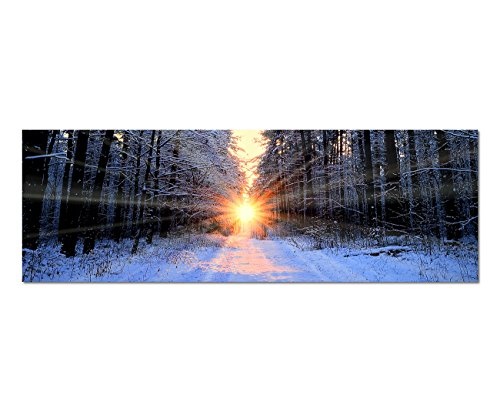 Paul Sinus Art Panoramabild auf Leinwand und Keilrahmen 150x50cm Wald Bäume Winter Schnee Sonnenaufgang