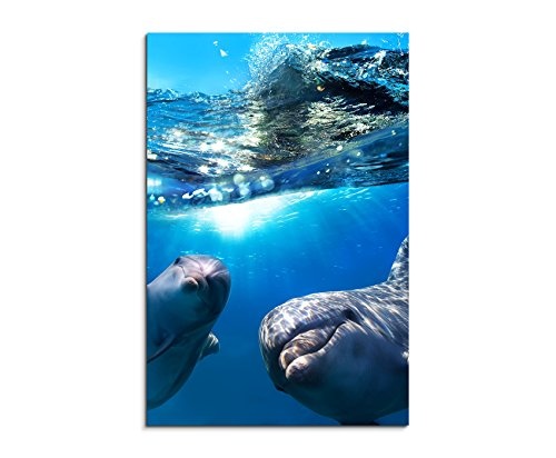 Fotoleinwand 90x60cm Tierfotografie - Zwei Delfine unter...