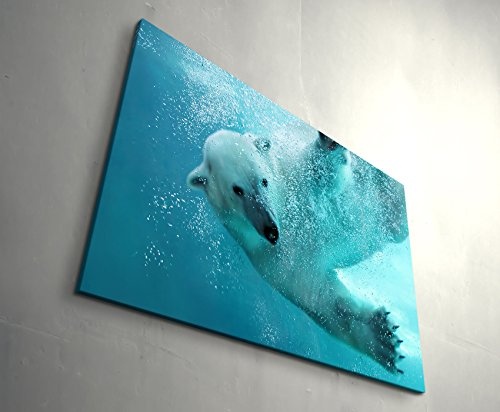 Paul Sinus Art Leinwandbilder | Bilder Leinwand 120x80cm jagender Eisbär - Unterwasseraufnahme