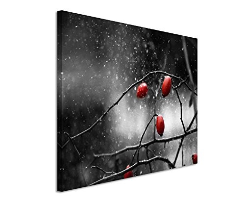 Paul Sinus Art Kunstfoto auf Leinwand 60x40cm Naturfotografie - Hagebutten im Schnee auf Leinwand Exklusives Wandbild Moderne Fotografie für Ihre Wand in Vielen Größen