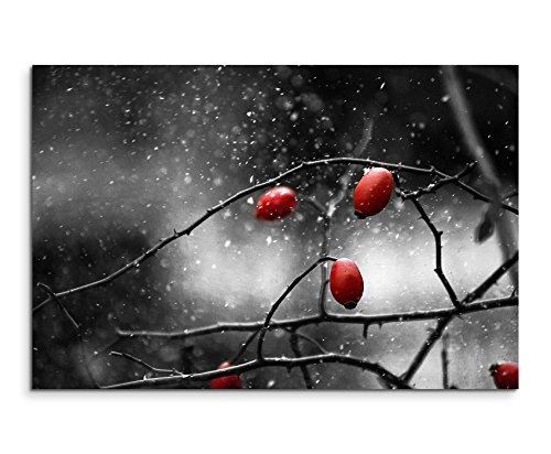 Paul Sinus Art Kunstfoto auf Leinwand 60x40cm Naturfotografie - Hagebutten im Schnee auf Leinwand Exklusives Wandbild Moderne Fotografie für Ihre Wand in Vielen Größen