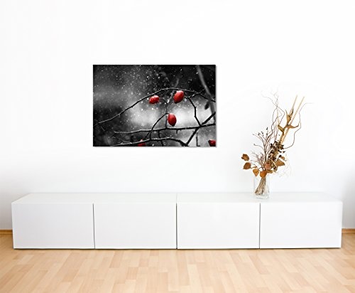 Paul Sinus Art Kunstfoto auf Leinwand 60x40cm Naturfotografie - Hagebutten im Schnee auf Leinwand Exklusives Wandbild Moderne Fotografie für Ihre Wand in Vielen Größen