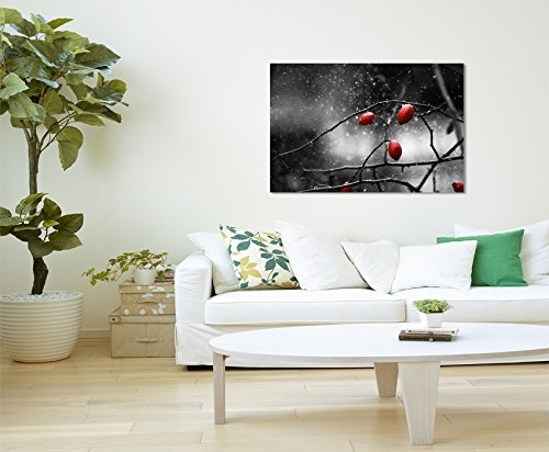 Paul Sinus Art Kunstfoto auf Leinwand 60x40cm Naturfotografie - Hagebutten im Schnee auf Leinwand Exklusives Wandbild Moderne Fotografie für Ihre Wand in Vielen Größen