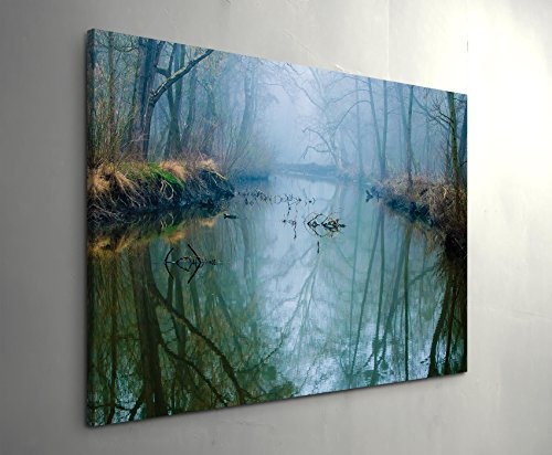 Paul Sinus Art Leinwandbilder | Bilder Leinwand 120x80cm nebeliger Sumpf Bei Dämmerung