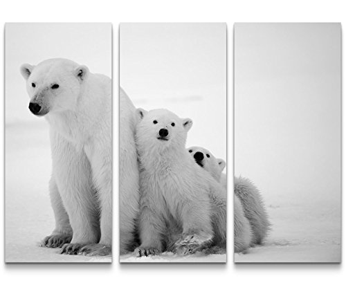 Paul Sinus Art Leinwandbilder | Bilder Leinwand 130x90cm Eisbärin mit Zwei Jungen schwarzweiß