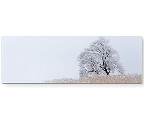 Paul Sinus Art Leinwandbilder | Bilder Leinwand 150x50cm einsamer Baum an schneebedeckten See