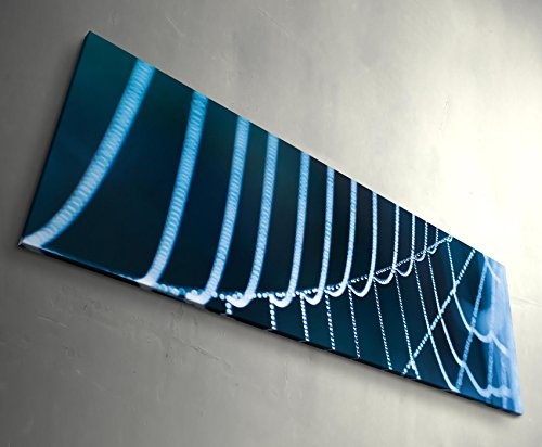 Paul Sinus Art Leinwandbilder | Bilder Leinwand 120x40cm Spinnennetz - Nahaufnahme