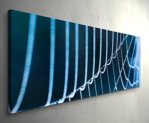 Paul Sinus Art Leinwandbilder | Bilder Leinwand 120x40cm Spinnennetz - Nahaufnahme