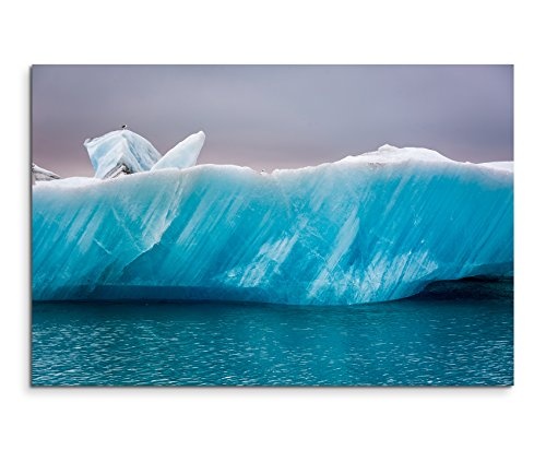 Paul Sinus Art Kunstfoto auf Leinwand 60x40cm Landschaftsfotografie - Möwen auf Eis, Island auf Leinwand Exklusives Wandbild Moderne Fotografie für Ihre Wand in Vielen Größen
