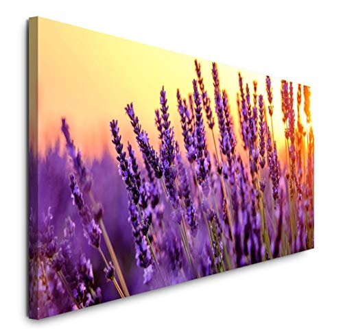 Paul Sinus Art GmbH Lavendel Felder 120x 50cm Panorama...