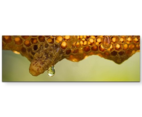 Frischer Bienenhonig - Panoramabild auf Leinwand in 150x50cm
