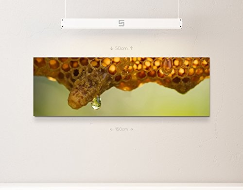 Frischer Bienenhonig - Panoramabild auf Leinwand in 150x50cm