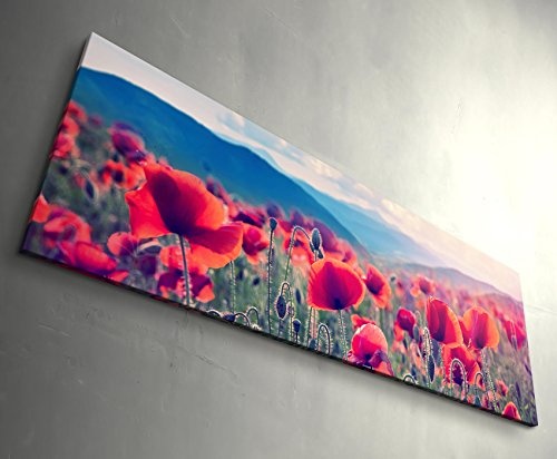 Bergwiese mit Mohnblumen - Panoramabild auf Leinwand in 150x50cm