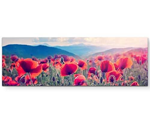 Bergwiese mit Mohnblumen - Panoramabild auf Leinwand in 150x50cm