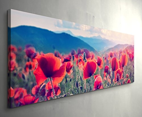 Bergwiese mit Mohnblumen - Panoramabild auf Leinwand in 150x50cm