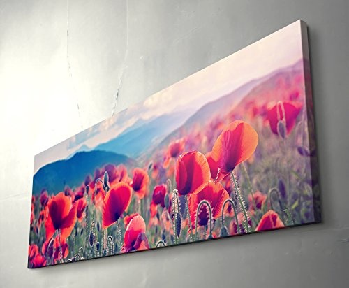 Bergwiese mit Mohnblumen - Panoramabild auf Leinwand in 150x50cm