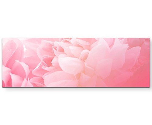 Florales Bild - soft und Rosa - Panoramabild auf Leinwand...